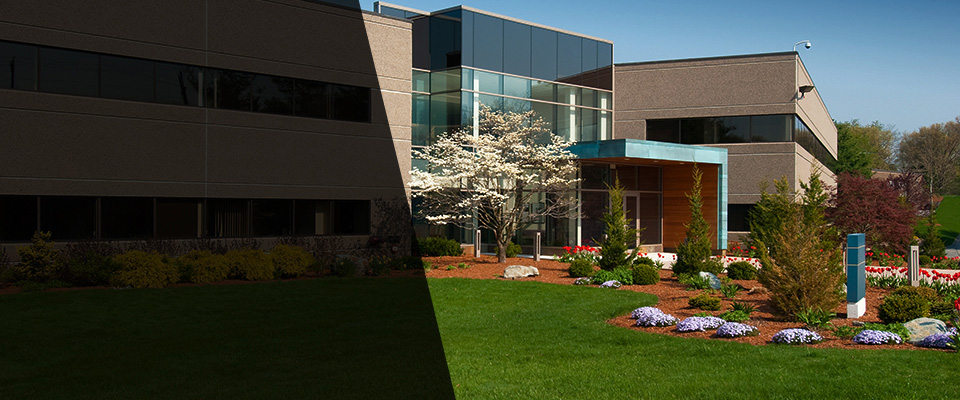 Bluemont Landscapers