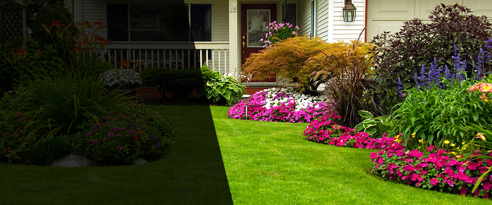 Bluemont Landscapers